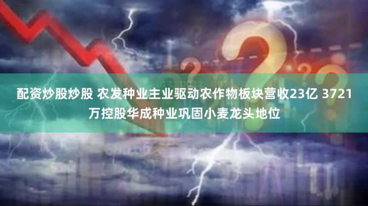 配资炒股炒股 农发种业主业驱动农作物板块营收23亿 3721万控股华成种业巩固小麦龙头地位